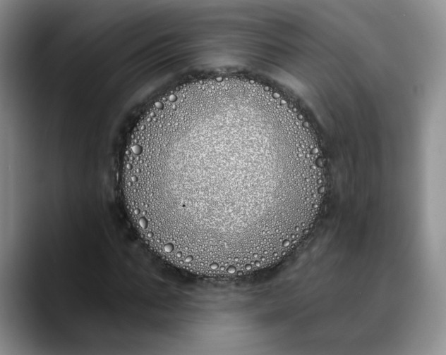 X0000089900871200707192031