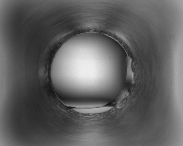 X0000089900872200707192031