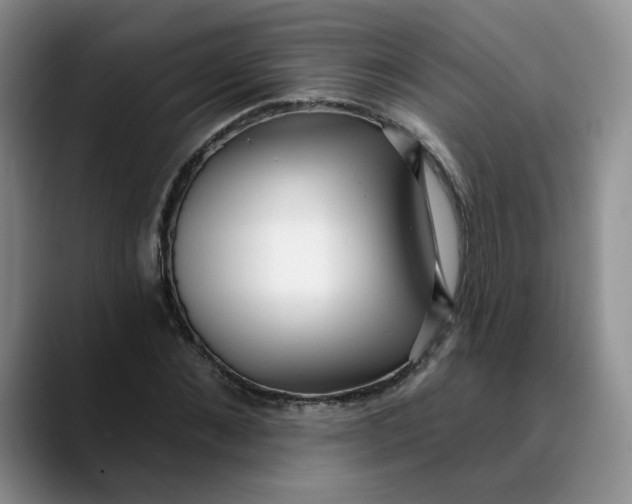 X0000089900876200707192031