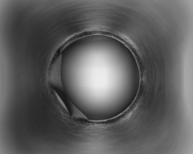 X0000089900877200707192031