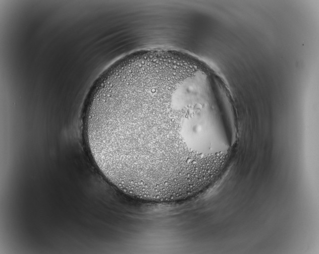 X0000089900879200707192031