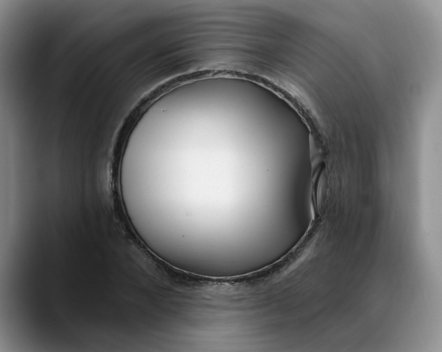 X0000089900880200707192031
