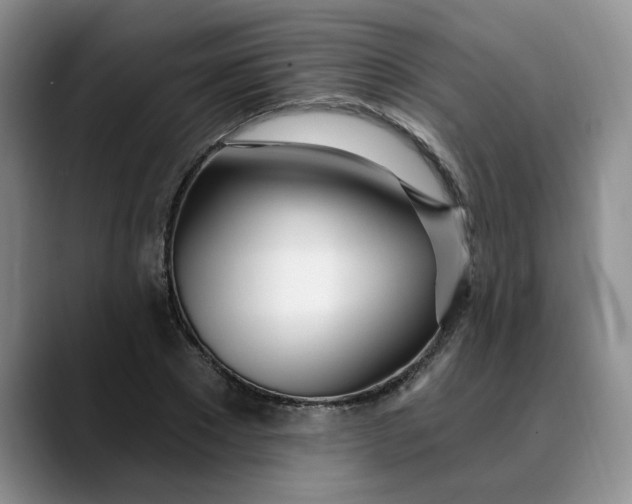 X0000089900881200707192031