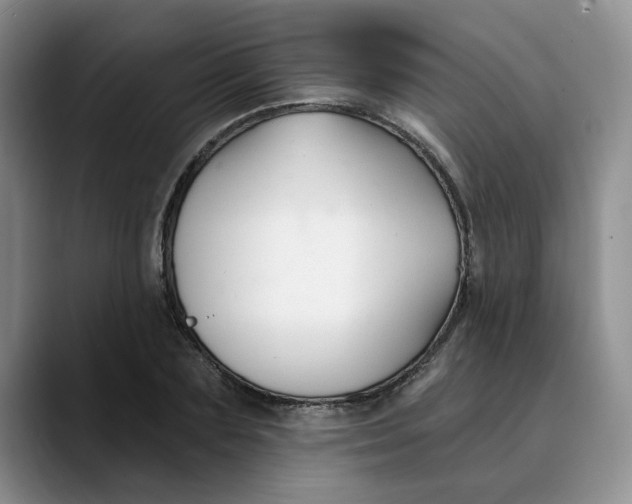 X0000089900883200707192031