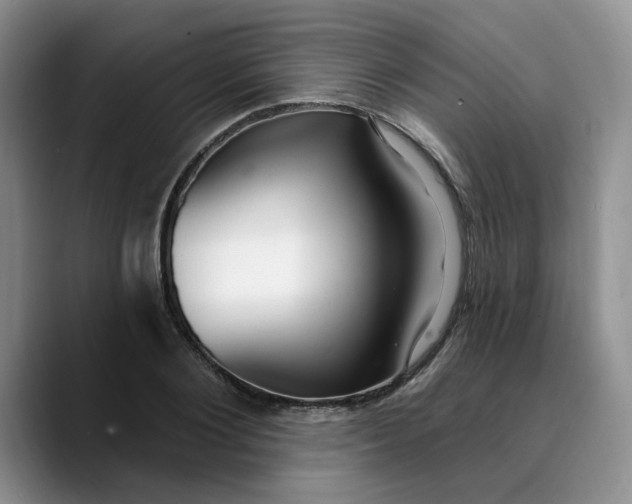 X0000089900884200707192031