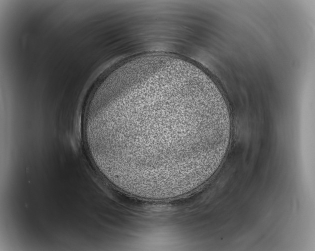 X0000089900886200707192031