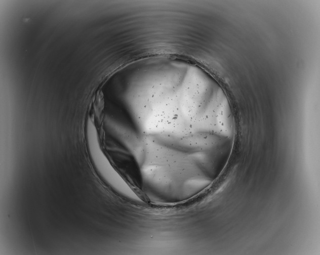 X0000089900889200707192031