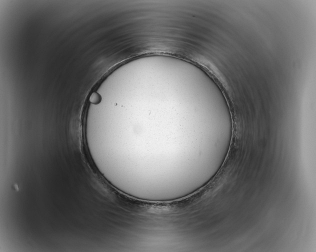 X0000089900890200707192031