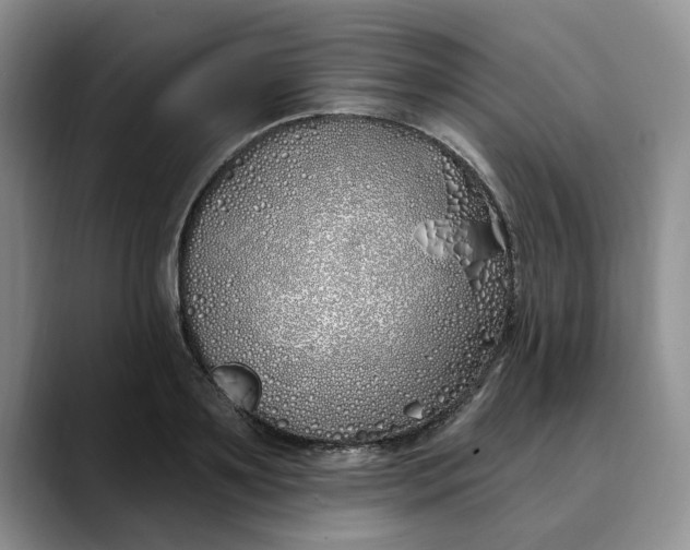 X0000089900891200707192031