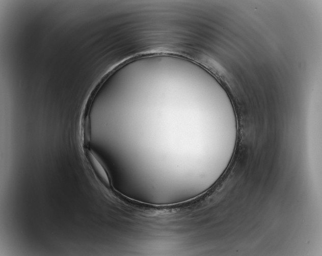 X0000089900892200707192031