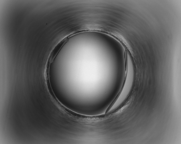 X0000089900893200707192031