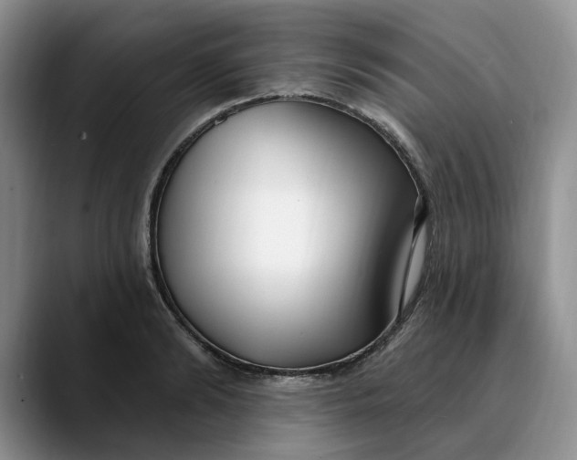 X0000089900894200707192031