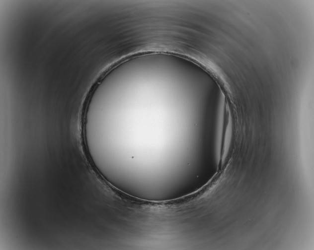 X0000089900896200707192030