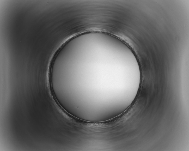 X0000089900902200707192030
