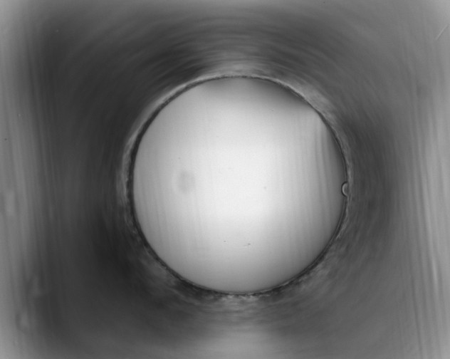 X0000089900912200707192030