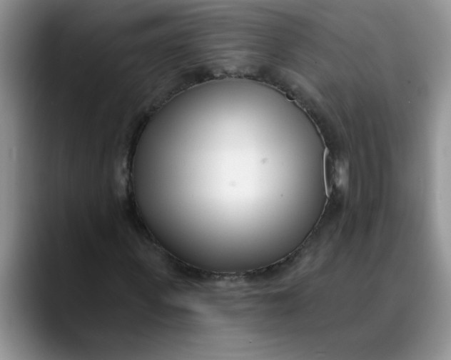 X0000089900915200707192030