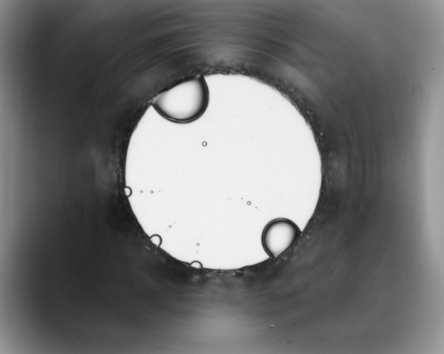 X0000089900918200707192030