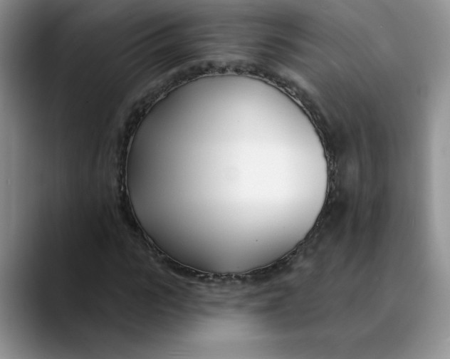X0000089900919200707192030