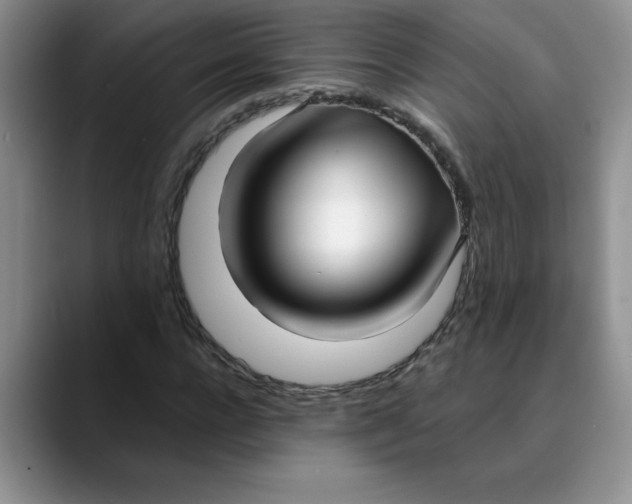 X0000089900920200707192030