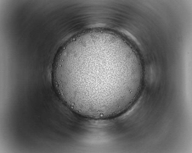 X0000089900921200707192030
