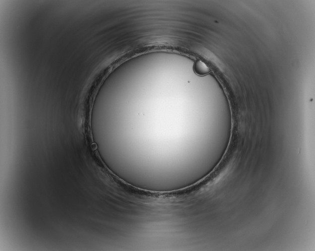 X0000089900922200707192030