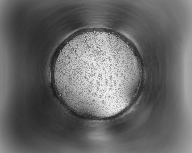 X0000089900925200707192030