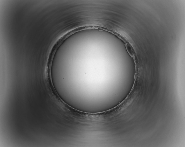X0000089900928200707192030