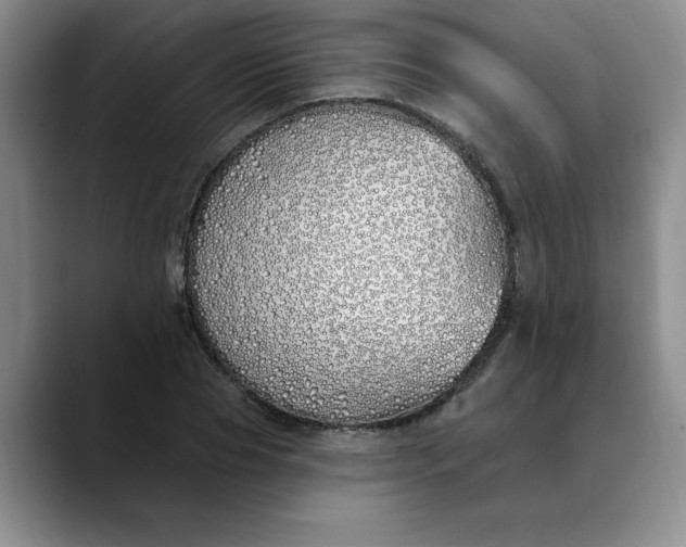 X0000089900929200707192030
