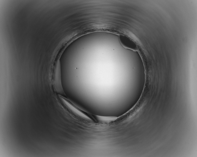 X0000089900930200707192030