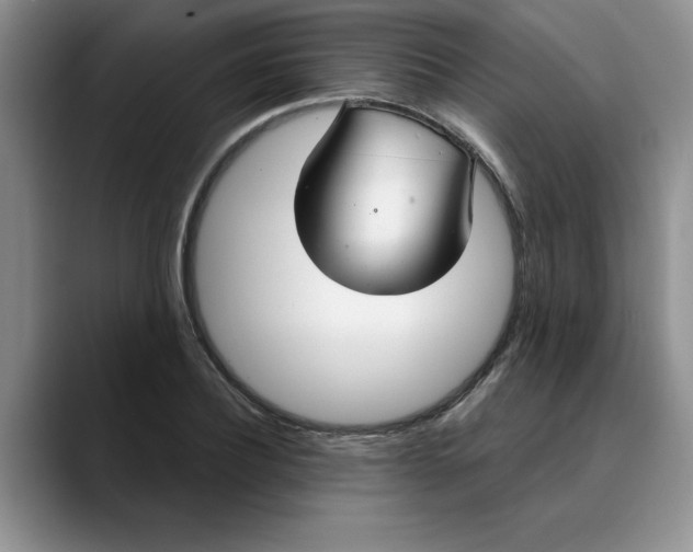 X0000089900932200707192030