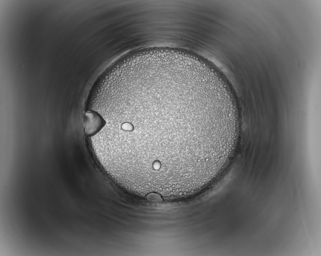 X0000089900933200707192030