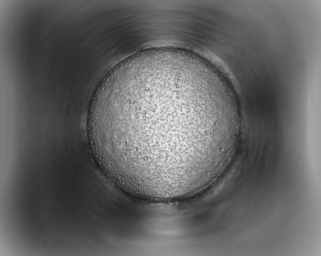 X0000089900937200707192030
