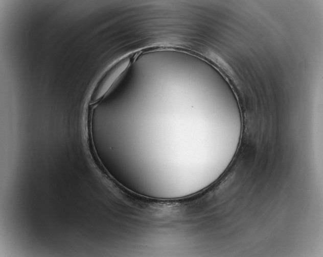 X0000089900939200707192030