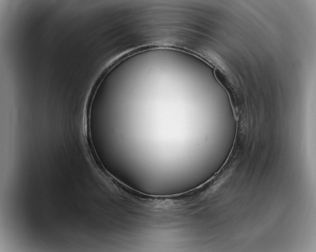 X0000089900940200707192030