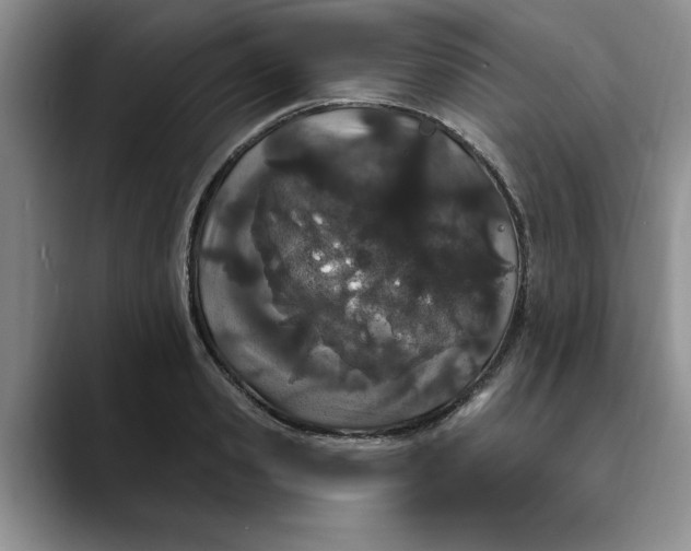 X0000089900941200707192030
