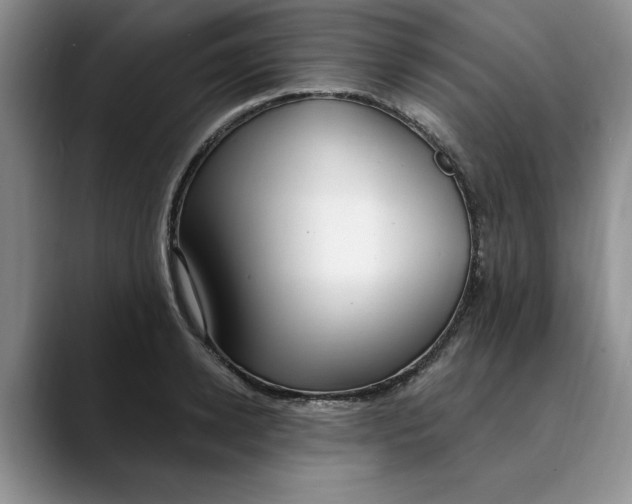 X0000089900942200707192030