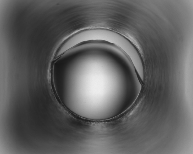 X0000089900944200707192030