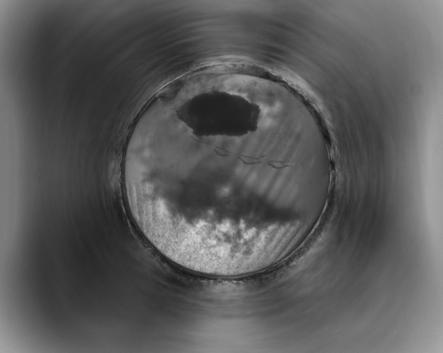 X0000089900945200707192030