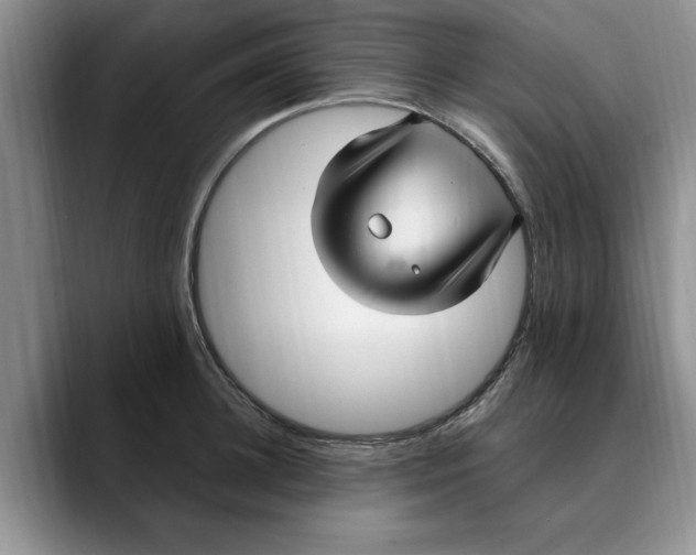 X0000089900948200707192030