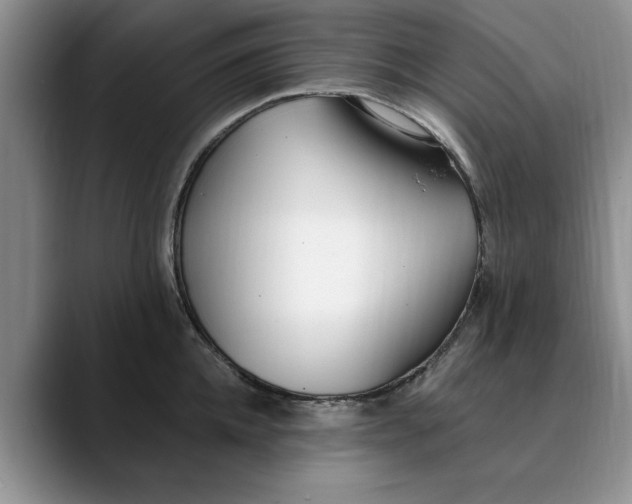 X0000089900952200707192030
