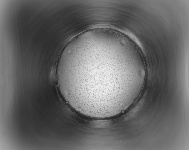 X0000089900953200707192030