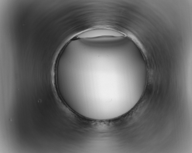 X0000089900955200707192030