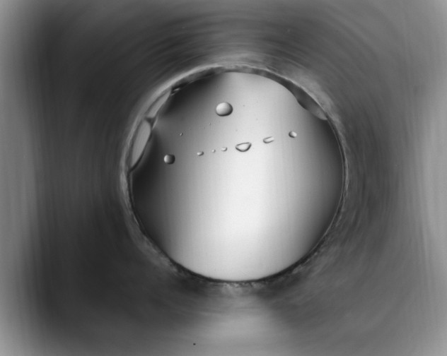 X0000089900960200707192030