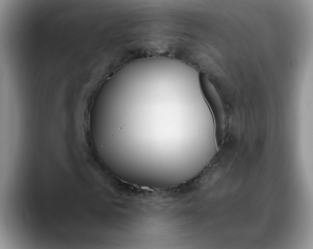 X0000089900961200707192030