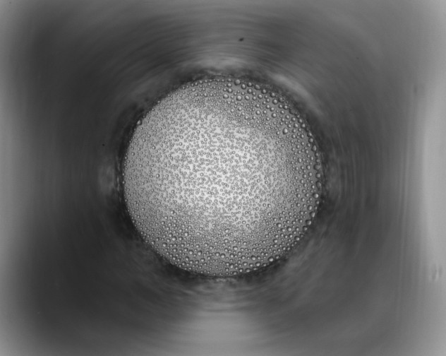 X0000089900966200707192030