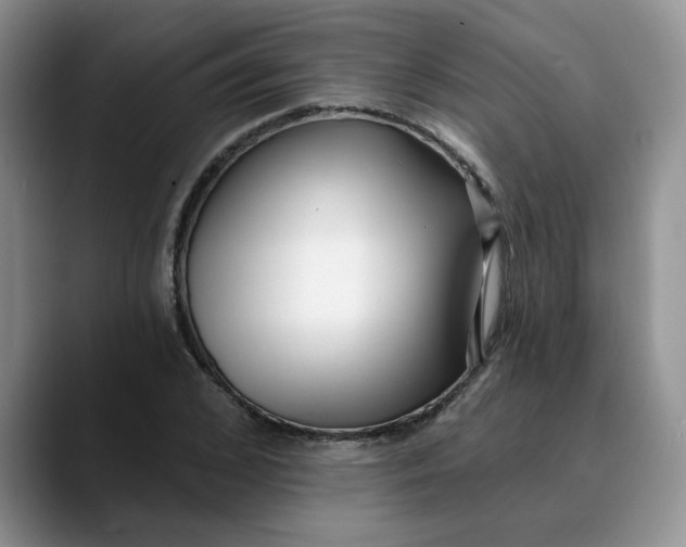 X0000089900976200707192030