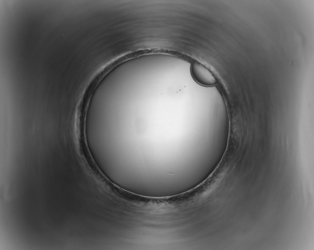 X0000089900983200707192029