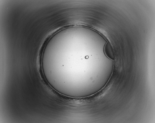X0000089900987200707192029