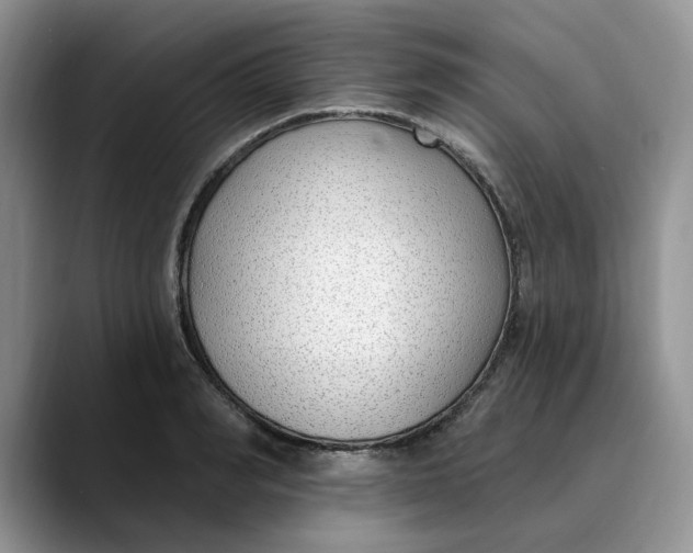 X0000089900990200707192029