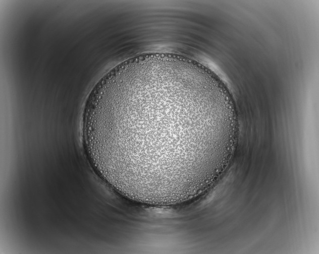 X0000089900994200707192029